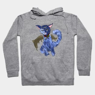 The Cat Who Sees All Things Hoodie